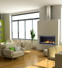 DV SERIES Direct Vent Linear gas fireplace, single sided and see through