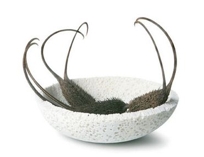 foam bowl