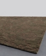 Cas_7000_medium_cropped