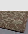 Cas_7001_medium_cropped