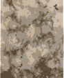 Dou-7302_medium_cropped