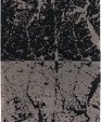 Fen-6502_medium_cropped
