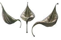 Satala Hammock