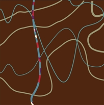 Silk Road Weaves : ELEMENTS / Pathways - Wool and Silk, 100 knots