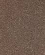 331pop_03_concept300_4119_12_medium_cropped