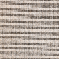 Eco 1
