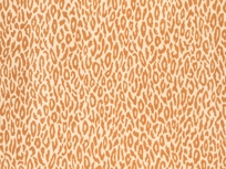SAFARI