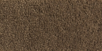 Savanna Colornumber: 7B38