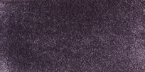 Scala Colornumber: 3D54