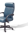 Home_executive7400_medium_cropped