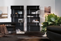Baxia Bookcase