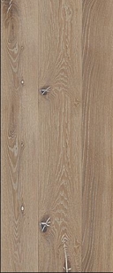 epoch contora quercus white