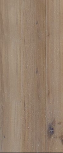 epoch old quercus