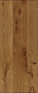 epoch old quercus contorta