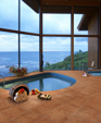 Exagres_italica-lo_medium_cropped