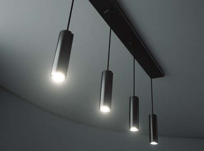 IVY module suspension