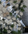 7014_leaf_lg_medium_cropped
