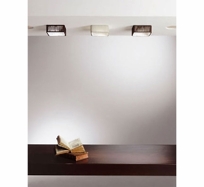 Clavius Spot Ceiling Light