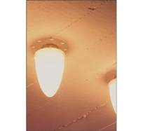 Celys Ceiling Light