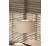 Danona 1 Ceiling Light & Pendant Light