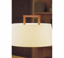 Lua 1 Ceiling Light & Pendant Light