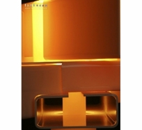 Bizarre Pendant Light