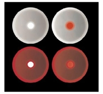Sonmi Pendant Light