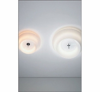 Julia Surface Ceiling Light