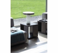 Boletus Table Lamp