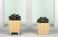 Remo Veneer Planters