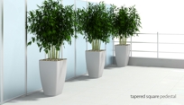 Bellini Planters