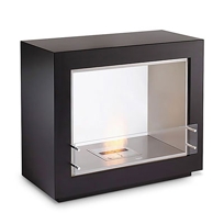 Vision Fireplace