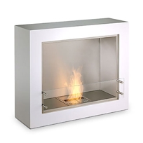Aspect Fireplace