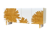 Dandelion Graphic Console
