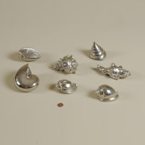 Set of Seven Assorted Nickel Plated Shells