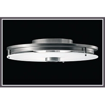 Inca Flush Mount with Downlight