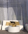 20080801_dig_0196_pro_medium_cropped