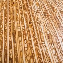 Kirei Board