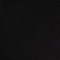 Cambrian Black