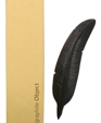 Cur_feather_a_ge_medium_cropped