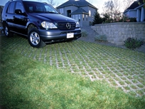 Turfstone