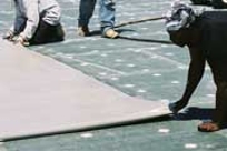 DensDeck Prime Roof Board