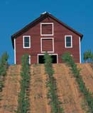 Indpls_agric_medium_cropped