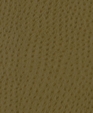 145763_d_medium_cropped