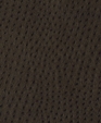 141343_d_medium_cropped