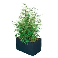 kenji planter (rectangular)