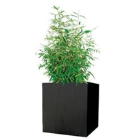 kenji planter (square)