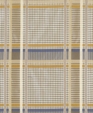 024511_d_medium_cropped