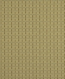 198629_f_medium_cropped