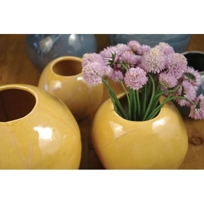 Sphere Vase By Alex Marshall Studios